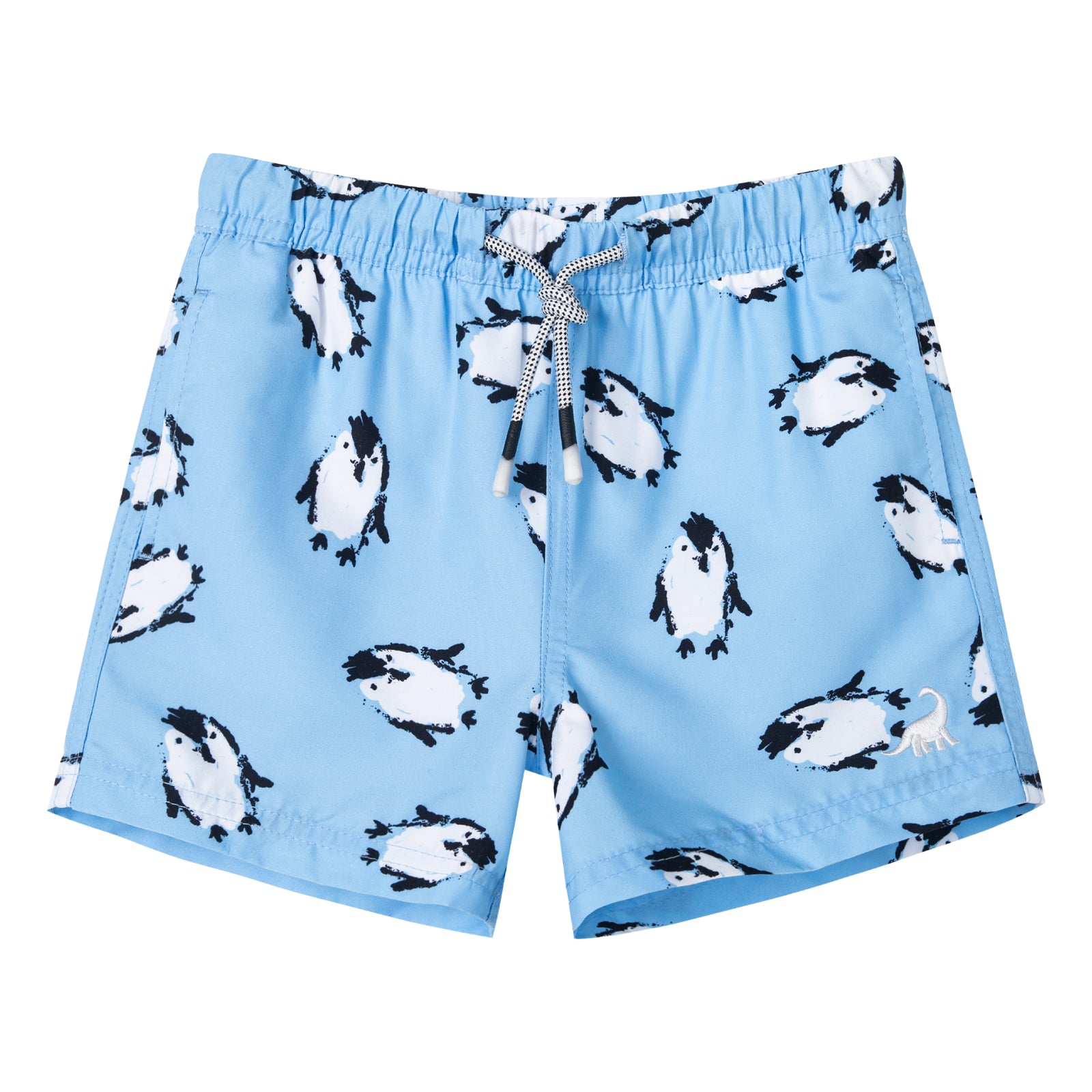 Boys Quick Dry Chemical Free Mesh Swim Trunks With Pockets
