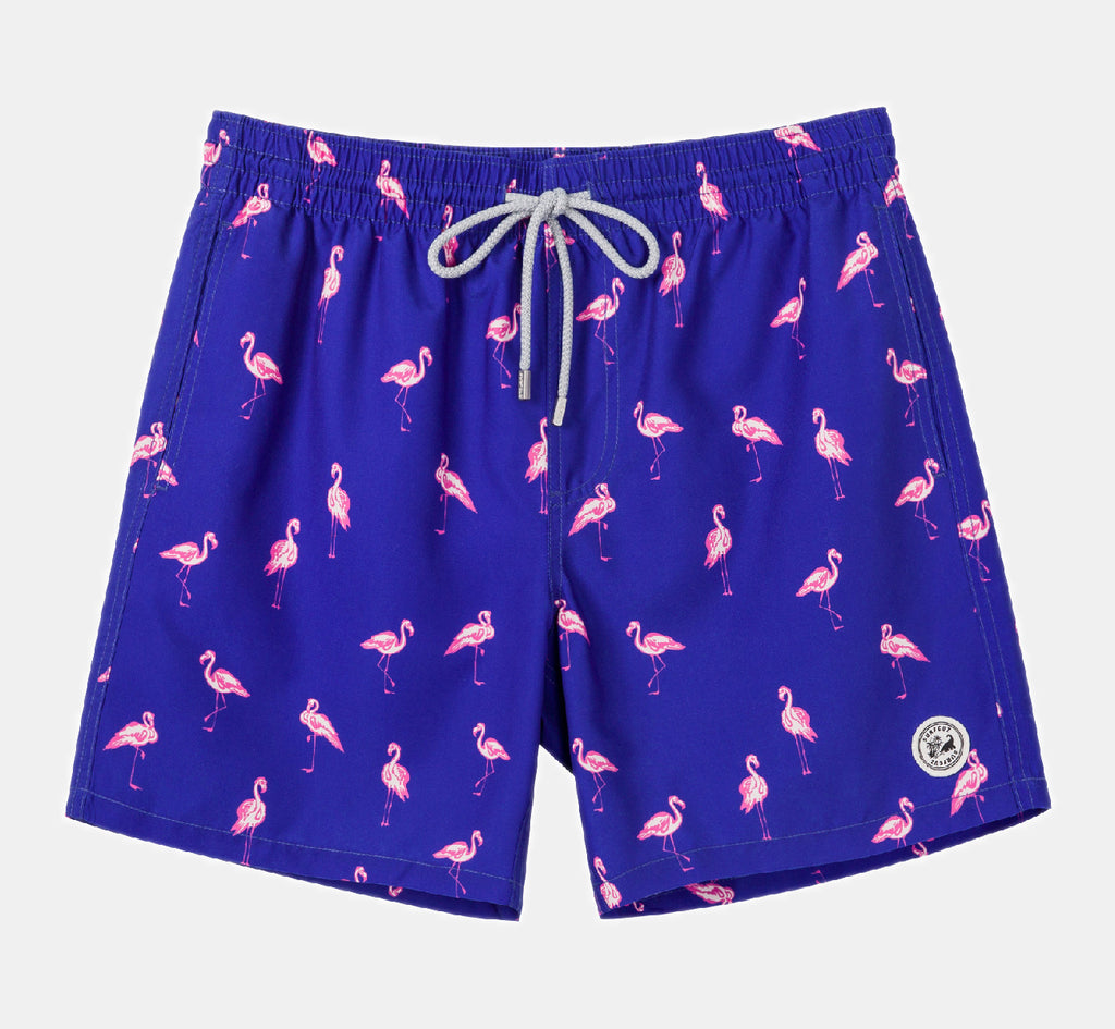 swim trunks