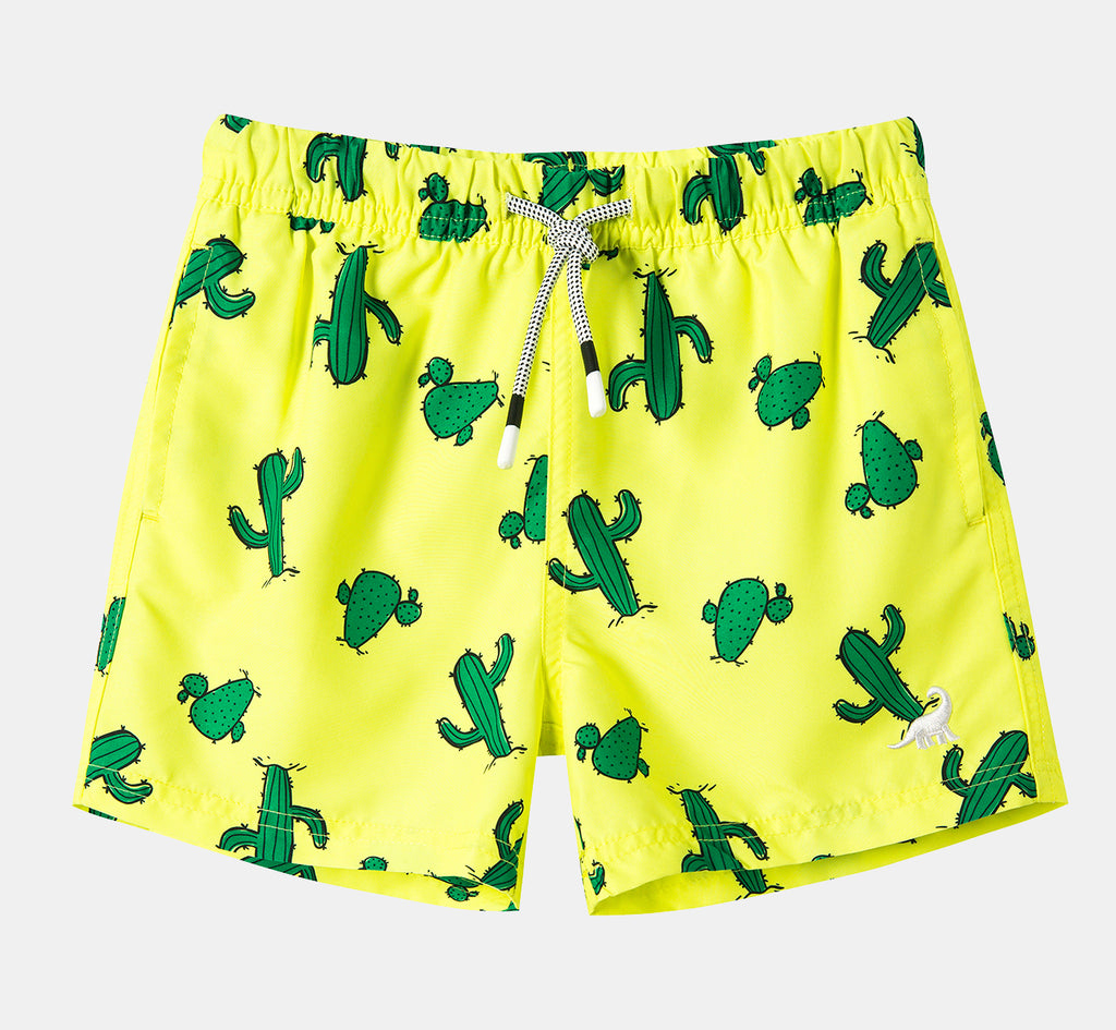 Boy's swim trunks